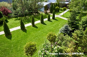 Газон на даче своими руками