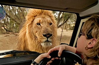 ЮАР открыла границы для туристов