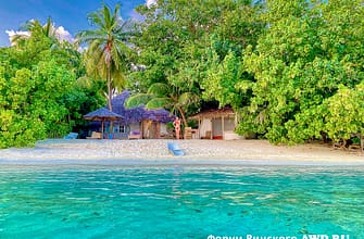 Винский Итоги 2021