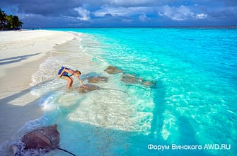 Banyan Tree Vabbinfarus отзывы