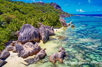 Винский итоги 2021