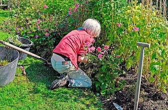Актуальная профессия для иммиграции