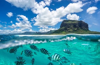 Как попасть на Маврикий с 1 октября 2021