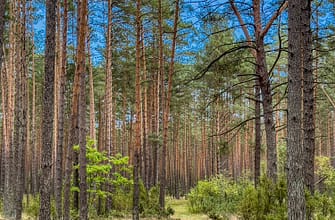 Лечебные санатории в Европе