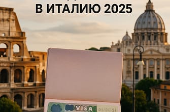 Анализ статистики по выдаче визы в Италию 2025
