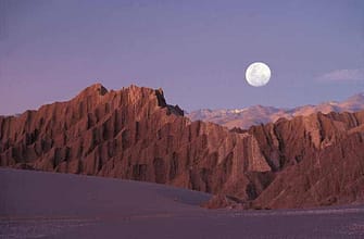 Пустыня Атакама через 10 дней