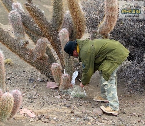 Путешествие по Боливии: от Salar Uyuni до Чили