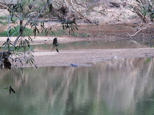 Ущелье Винджана Западная Австралия