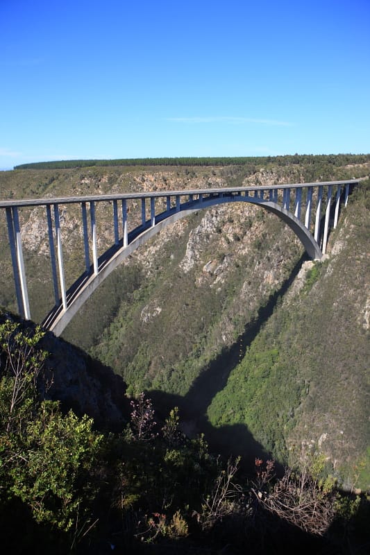Тарзанка в ЮАР