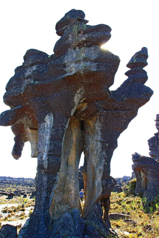 Рорайма затерянный мир