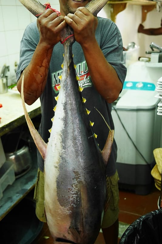 Полуостров Самана пляжи