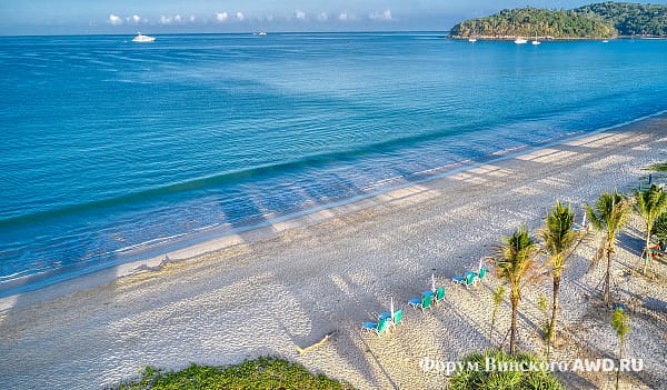 Где нет коронавируса