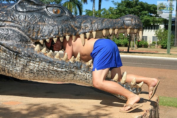 Savannah Way случай в пабе Burketown