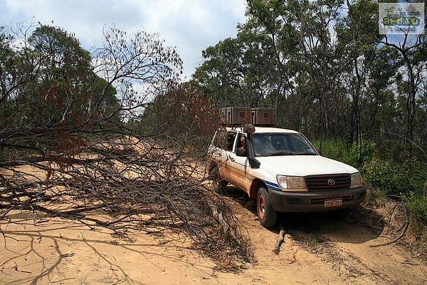 Savannah Way случай в пабе Burketown
