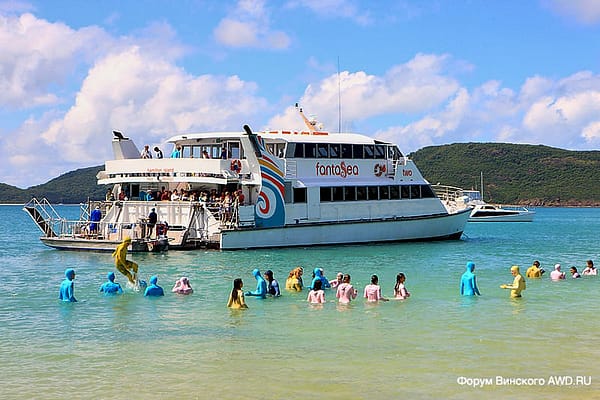 Кто кусается в море на Пхукете