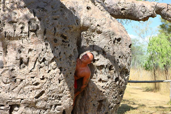 Ущелье Винджана Западная Австралия