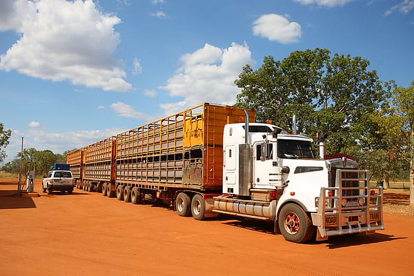 Ущелье Винджана Западная Австралия