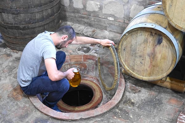 Винный тур в Кахетии