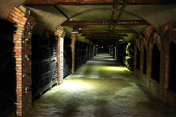 Винный туризм в Грузии, винный тур в Кахетию