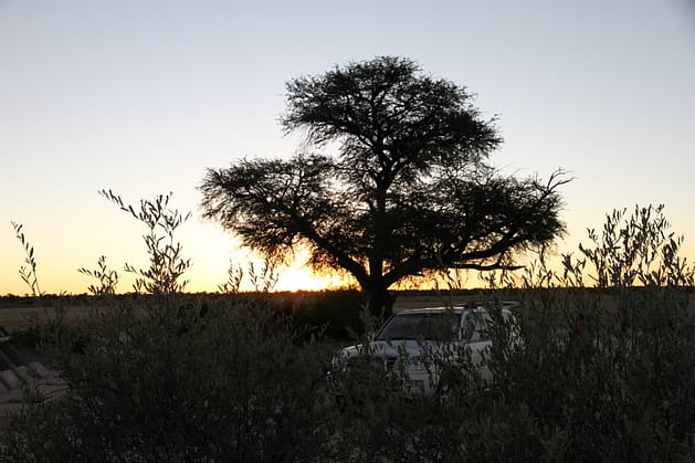 Путешествие в Ботсвану