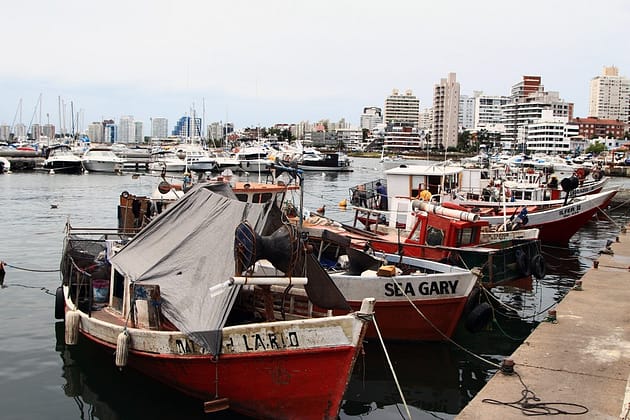 Уругвай отзывы отдых