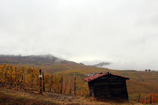 Бароло, Пьемонт
