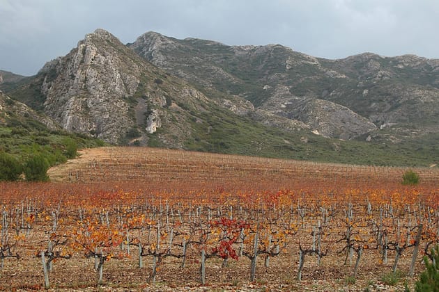 Прованс. Путешествие из Марселя в Авиньон