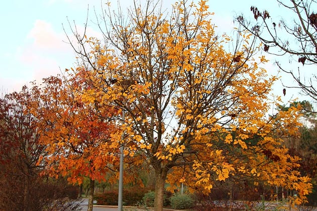 Прованс. Путешествие из Марселя в Авиньон