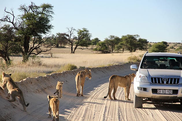 Планирование самостоятельных путешествий