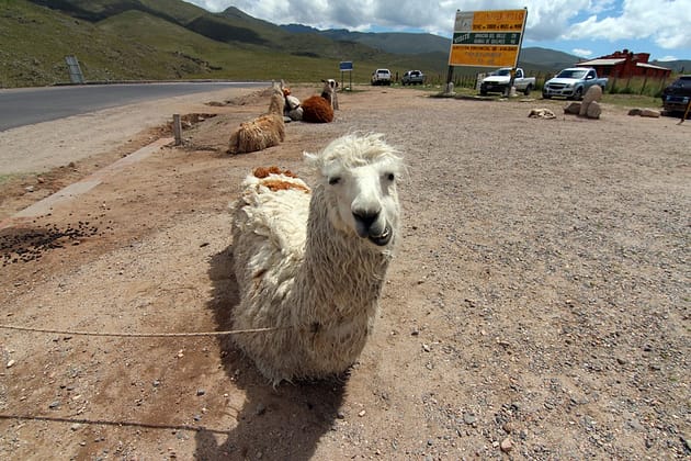 Путешествие по Аргентине на машине