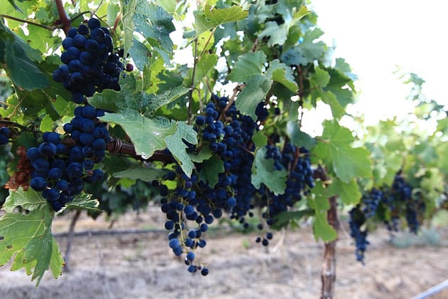 Путешествие по Аргентине на машине