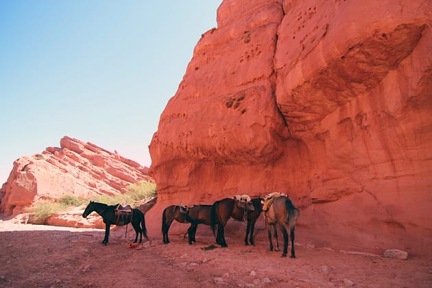 Путешествие по северо-западу Аргентины