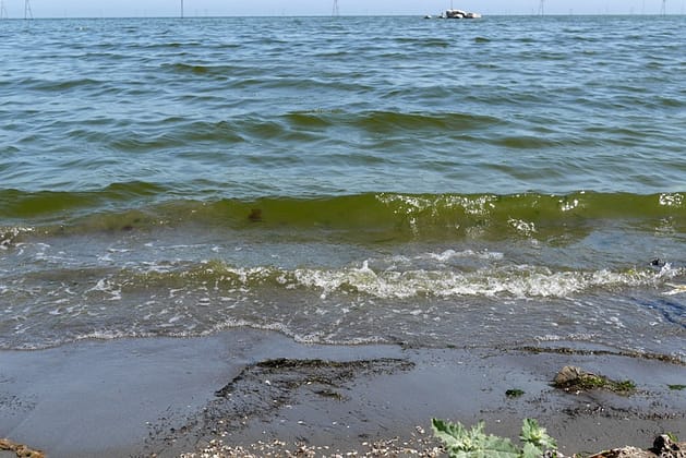 Каспийское море в Баку