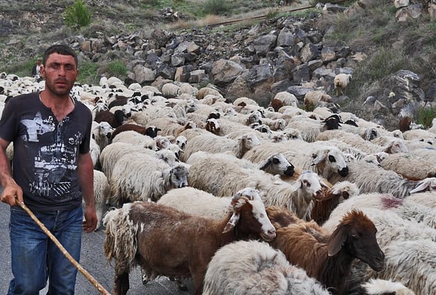 Что посмотреть в Армении