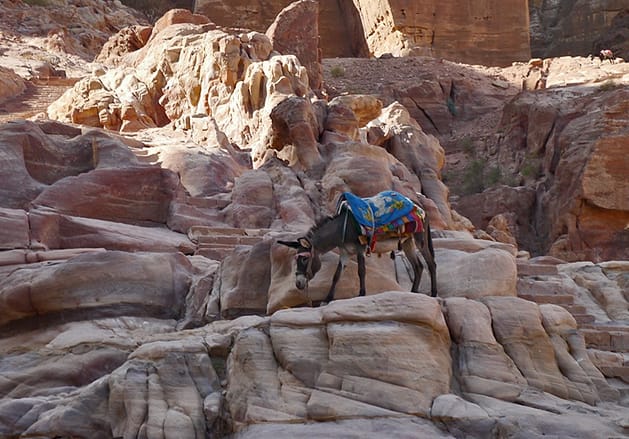 петра вади муса иордания