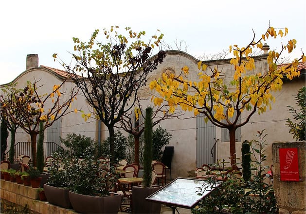 Прованс. Путешествие из Марселя в Авиньон