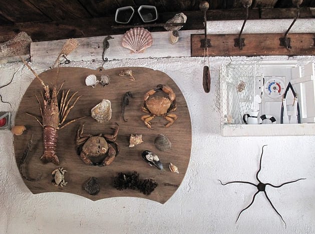 Устрицы в Хорватии