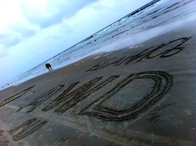 Гоа пляж Палолем