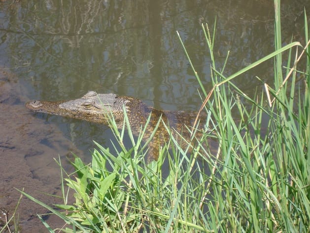 Путешествие в Ботсвану