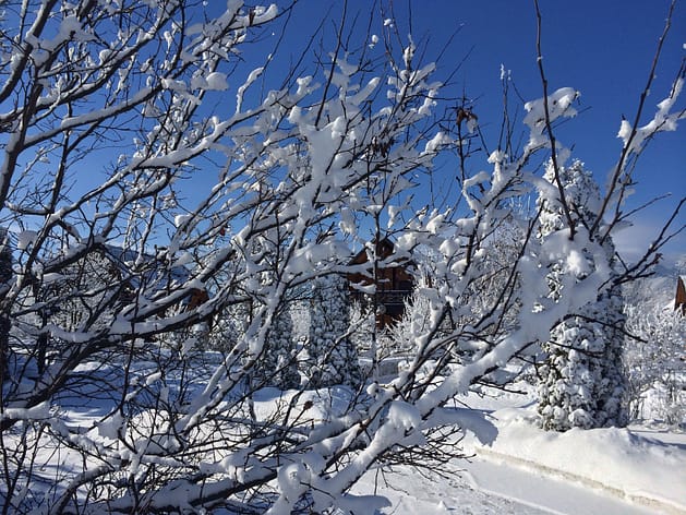 Программа Детокс