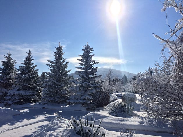 Программа Детокс