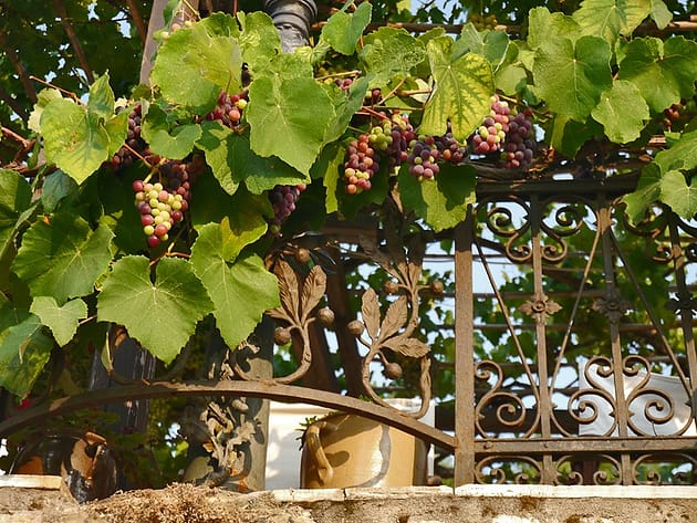 Парфенонас