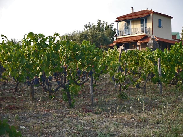 Парфенонас