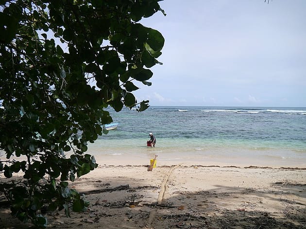 Бокас дель Торо Панама