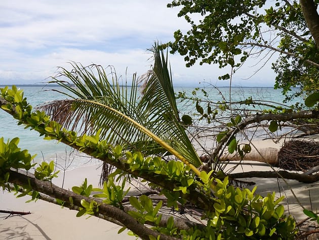 Бокас дель Торо Панама