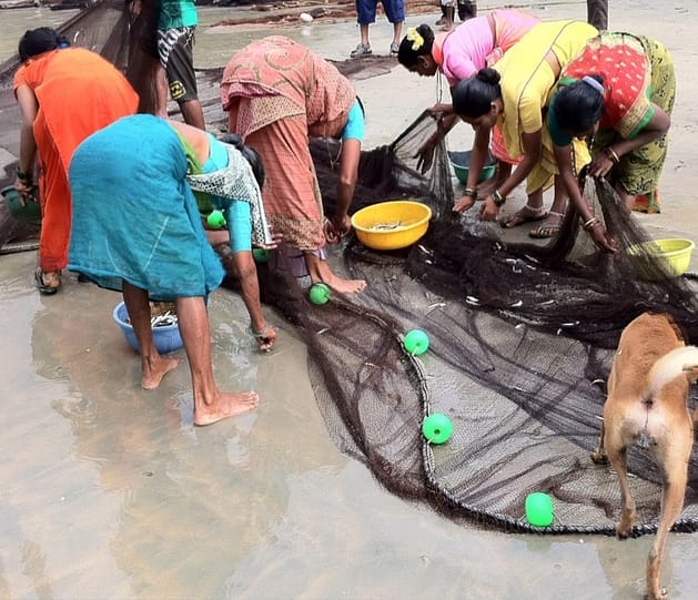 Гоа пляж Палолем