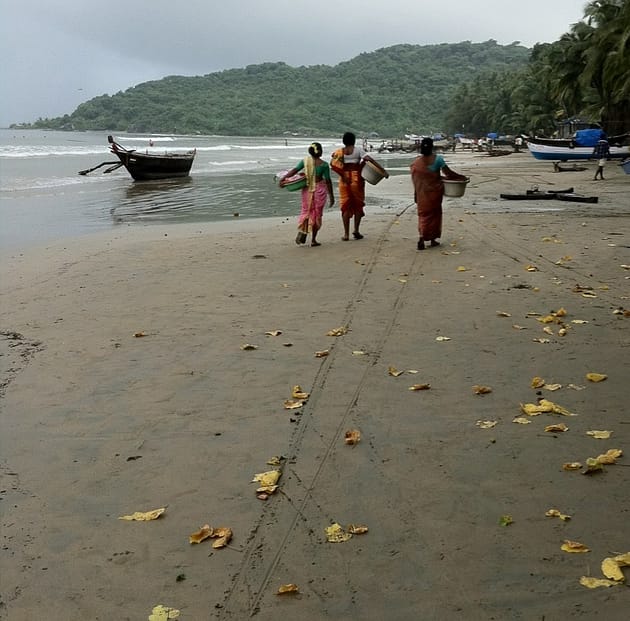 Гоа пляж Палолем