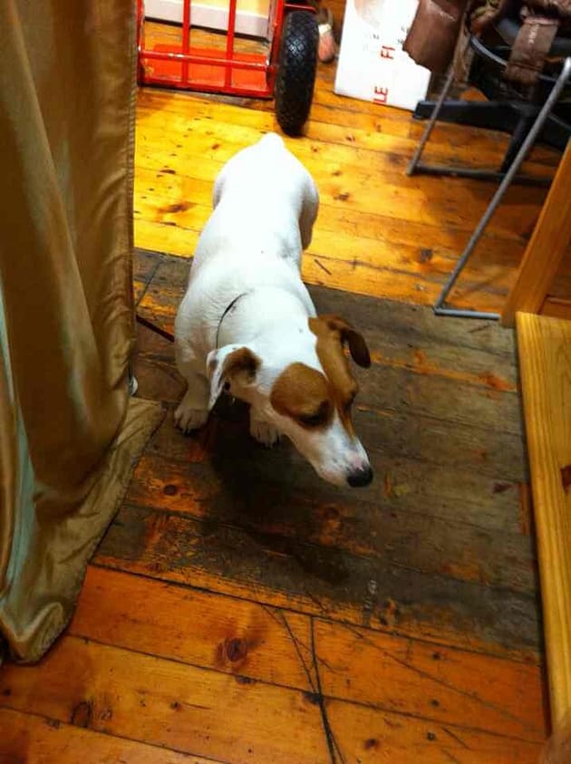 Сезон трюфелей в Италии