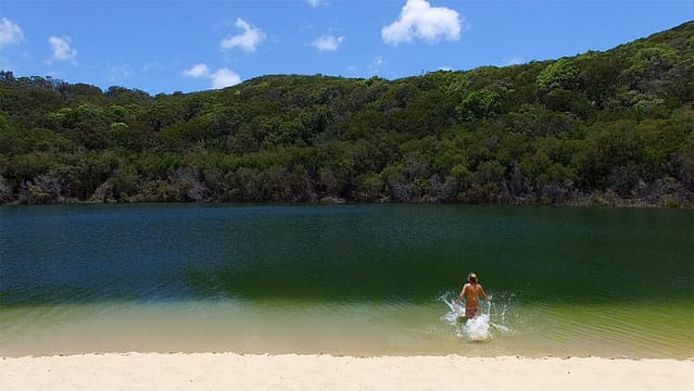 Fraser Island experience