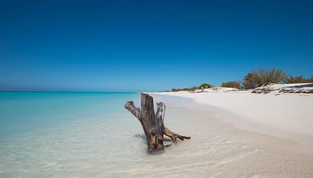 Новый год в Чили